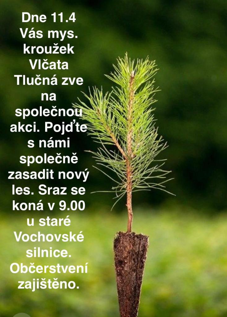 plakát